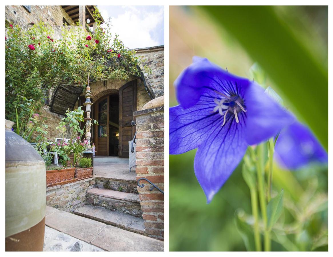 Willa Le Rose Di Montagnana San Gimignano Zewnętrze zdjęcie