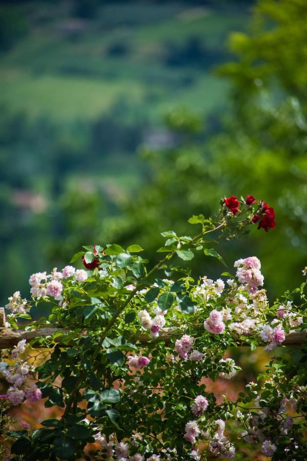 Willa Le Rose Di Montagnana San Gimignano Zewnętrze zdjęcie